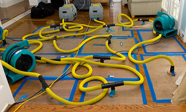 Professional Sewage Cleanup technician working in New Richland, MN
